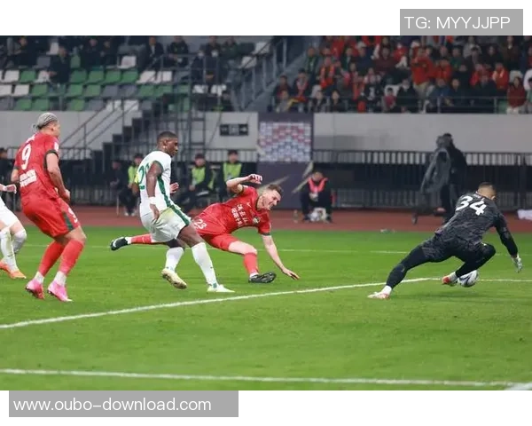 荆楚足球比赛热潮来袭球迷齐聚共庆足球盛宴与激情对决