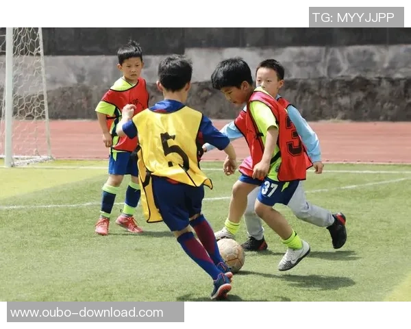 足球之夜杨烨带你领略激情四溢的绿茵场景与精彩瞬间